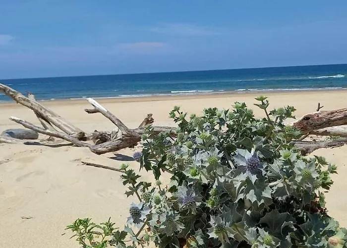 Дом отдыха Beautiful Contemporary 160 M With Pool *