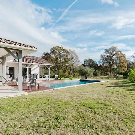 Beautiful Contemporary 160 M With Pool 莱昂